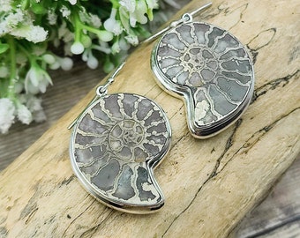 Pyrite Ammonite Earrings | Fossil Earrings | 28mm long | Sterling Silver