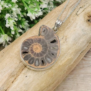 Ammonite Pendant | Madagascan Fossil Gift | Sterling Silver