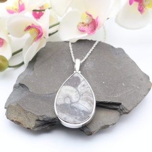 Fossilised Sea Creatures Pendant | Teardrop | Sterling Silver