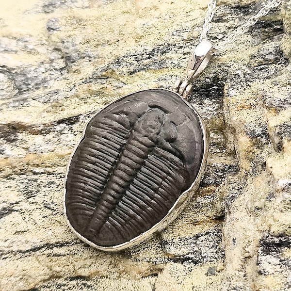 Trilobite Pendant | Fossil Necklace | Medium | Sterling Silver