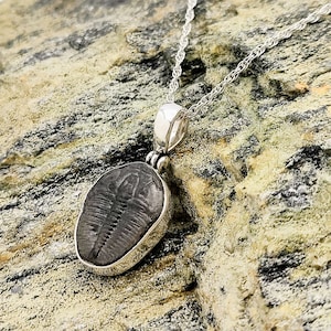 Trilobite Necklace | Single Bezel Surround | Small Fossil Pendant 13mm long | Sterling Silver
