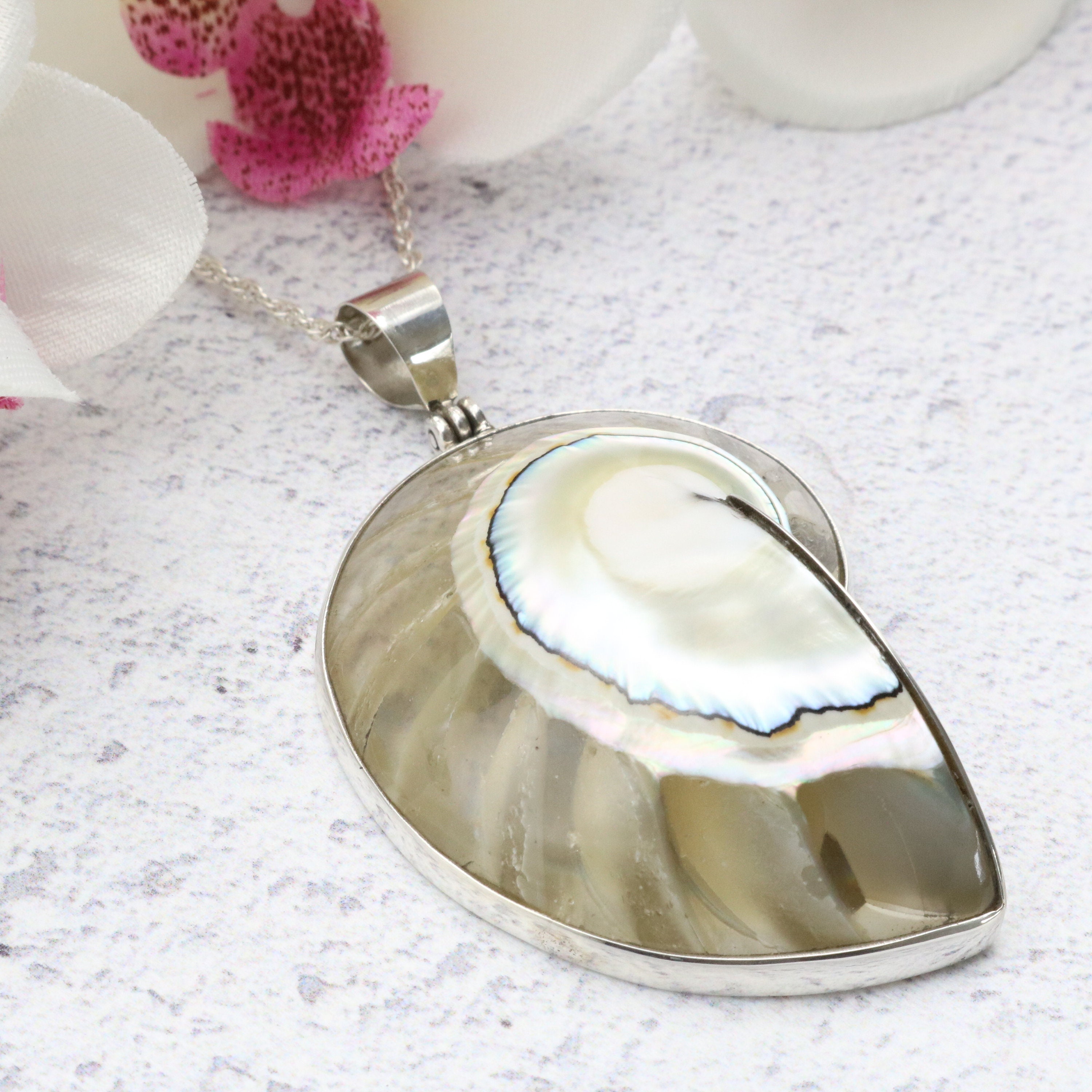 Nautilus Shell Pendant Small Clear in Sterling Silver - Etsy UK