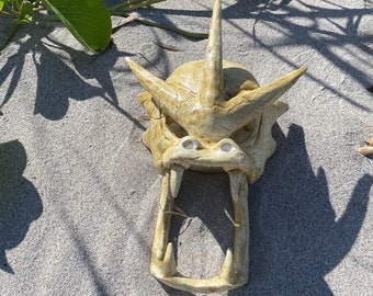 Cráneo de Gyarados