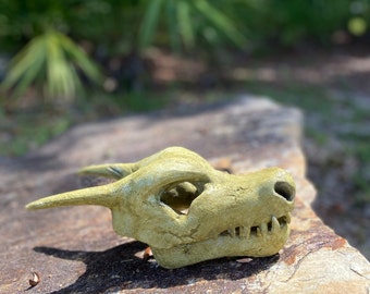 Charizard Skull