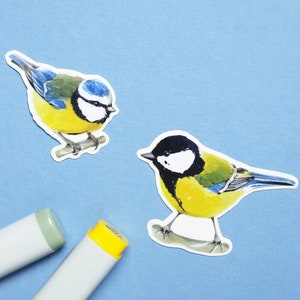 Duo d'autocollants transparents mésanges bleues - Idées cadeaux pour ornithologues amateurs