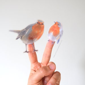 Duo d'autocollants transparents Robin Redbreast - Idées cadeaux ornithologues
