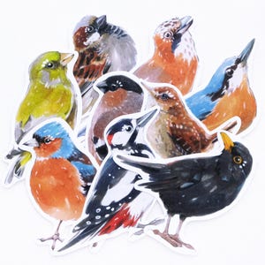 Juego de pegatinas de pájaros: hoja de pegatinas de vinilo para bulletjournal y diario