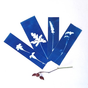 Set di quattro segnalibri con stampa botanica a Cianotipo, segnalibro di carta fatto a mano in blu con fiori e foglie, regalo per lettore