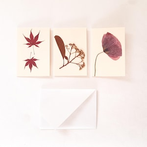 Biglietti auguri con foglie e fiori pressati, set di tre tag regalo con fiori veri di Papavero e Acero Giapponese, biglietti floreali