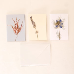 Set di tag regalo con fiori e foglie pressati, biglietti auguri fatti a mano con Lavanda e Acero Giapponese, chiudipacco botanici