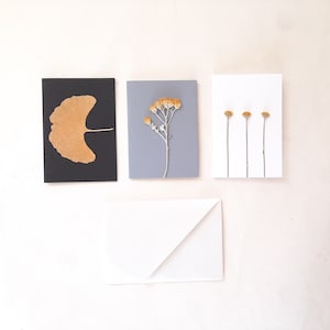 Set di tre biglietti auguri con foglie e fiori pressati, biglietti auguri botanici fatti a mano con busta origami, tag regalo floreali