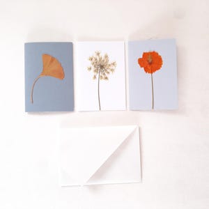 Biglietti auguri floreali fatti a mano, set di 3 biglietti con fiori e foglie veri pressati e busta origami, biglietto con foglia di Ginkgo