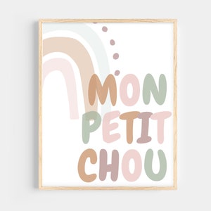 May include: A framed print featuring a rainbow design in shades of pink, brown, and green. The text "MON PETIT CHOU" is written in a playful font.