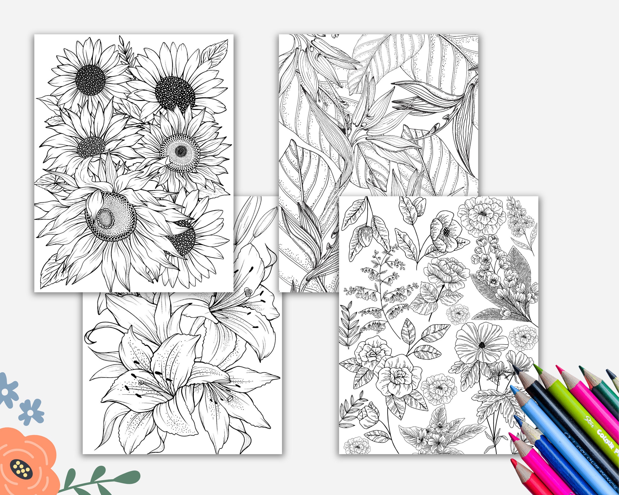 Printable Floral Coloring Book Digital Coloring Book Adult | Etsy