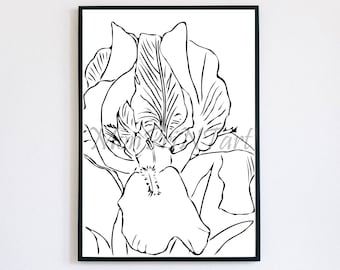 Iris Kunstdruck/Botanische Line Art/Schwarz-Weiß Wand dekor/Handgezeichnet/Floral Print/Wild Flower Art Print/Minimal Flora Art