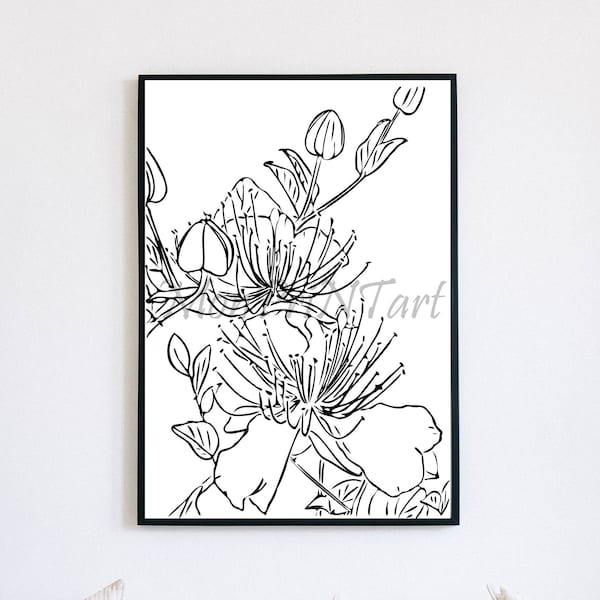Caper Berry Art Print/Botanical Line Art/Black and White Wall Decor/Hand Drawn/Floral Print/Wild Flower Art Print/Minimal Flora Art