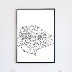 Hydrangea/Botanical Line Art/Black and White Wall Decor/Hand Drawn/Floral Print/Wild Flower Art Print/Minimal Modern Line Art Flower