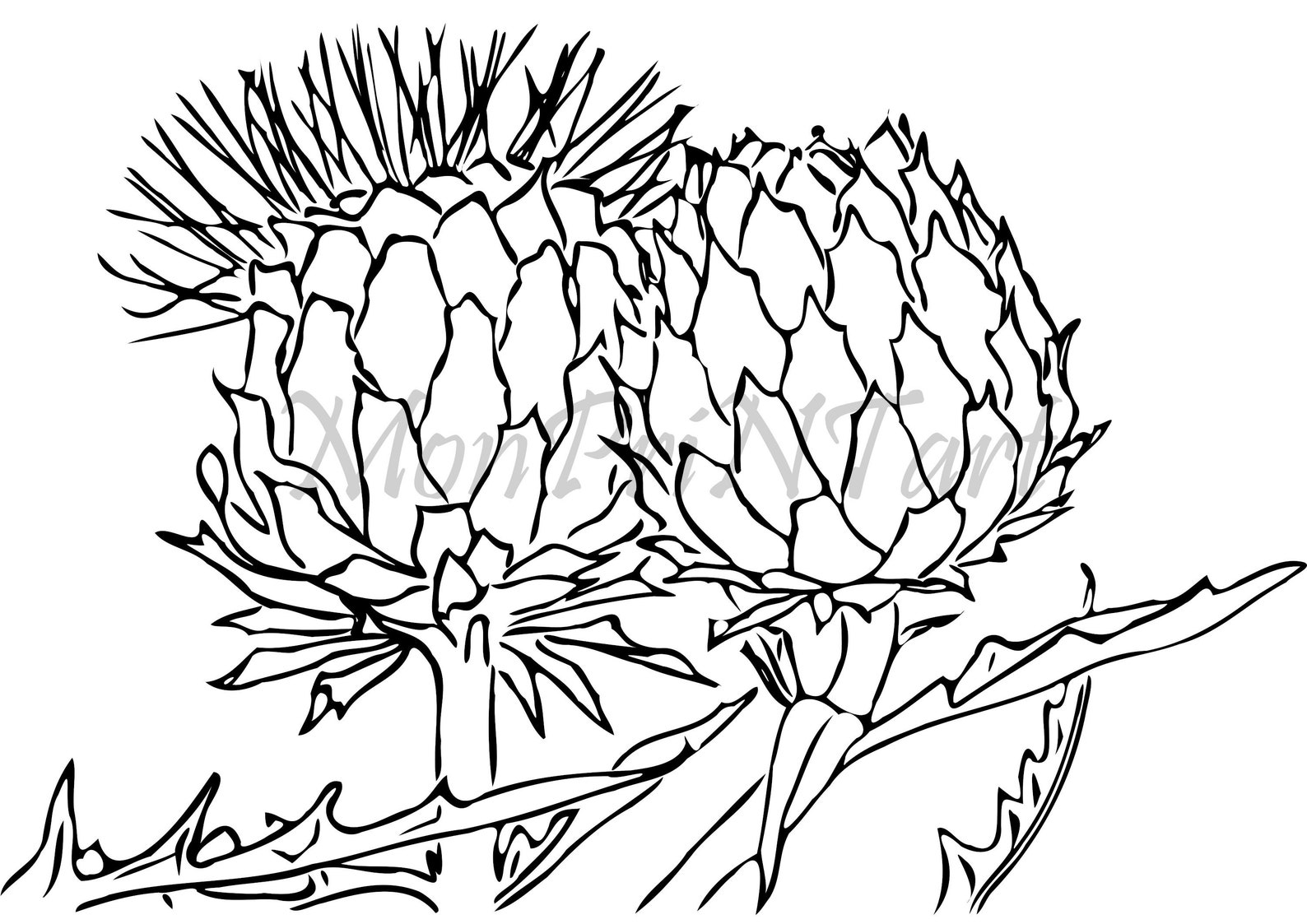 Artichokes Art Print/botanical Line Art/black and White Wall Decor/hand