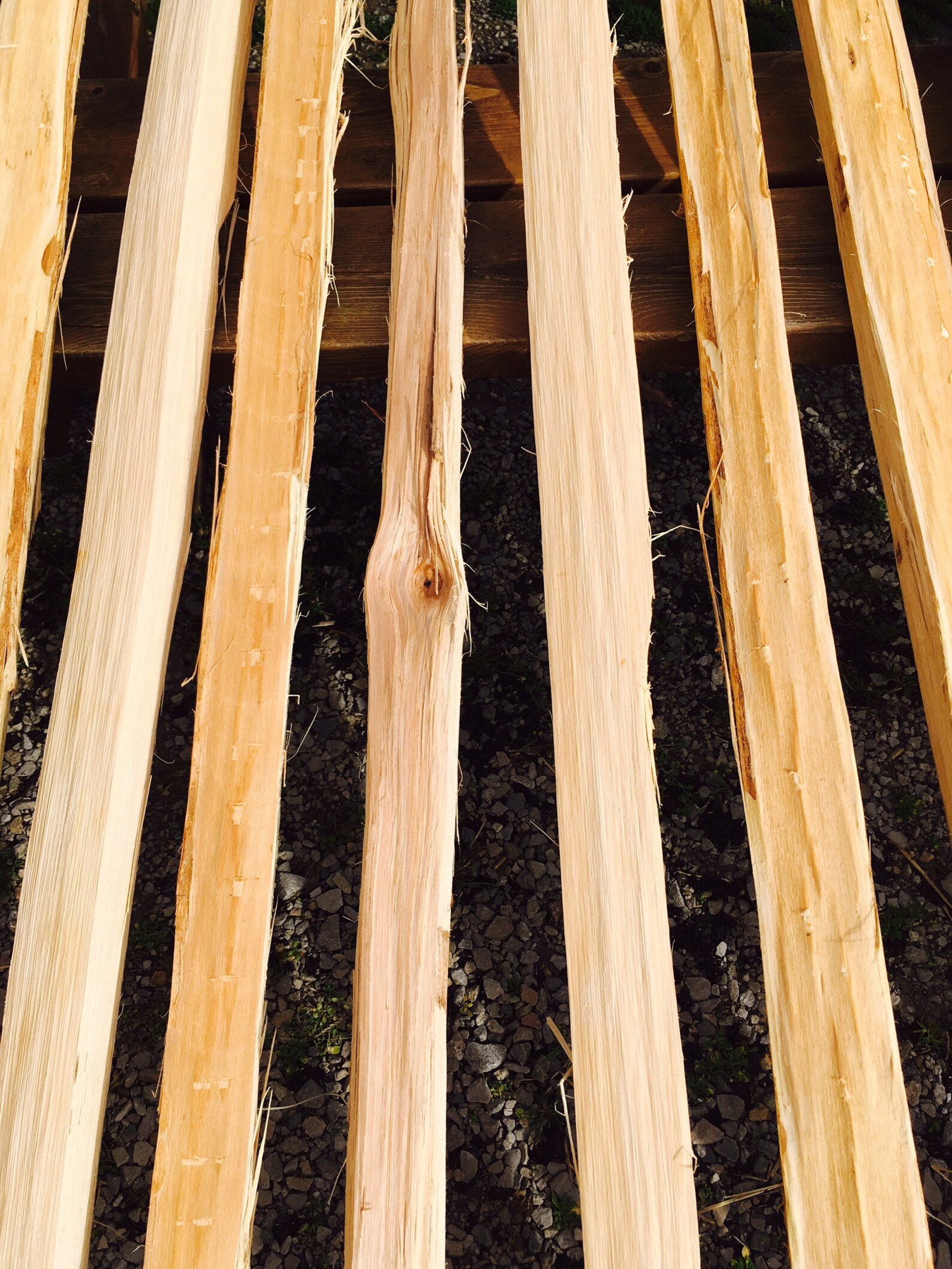 Hickory Bow Staves 2nds IN STOCK Etsy