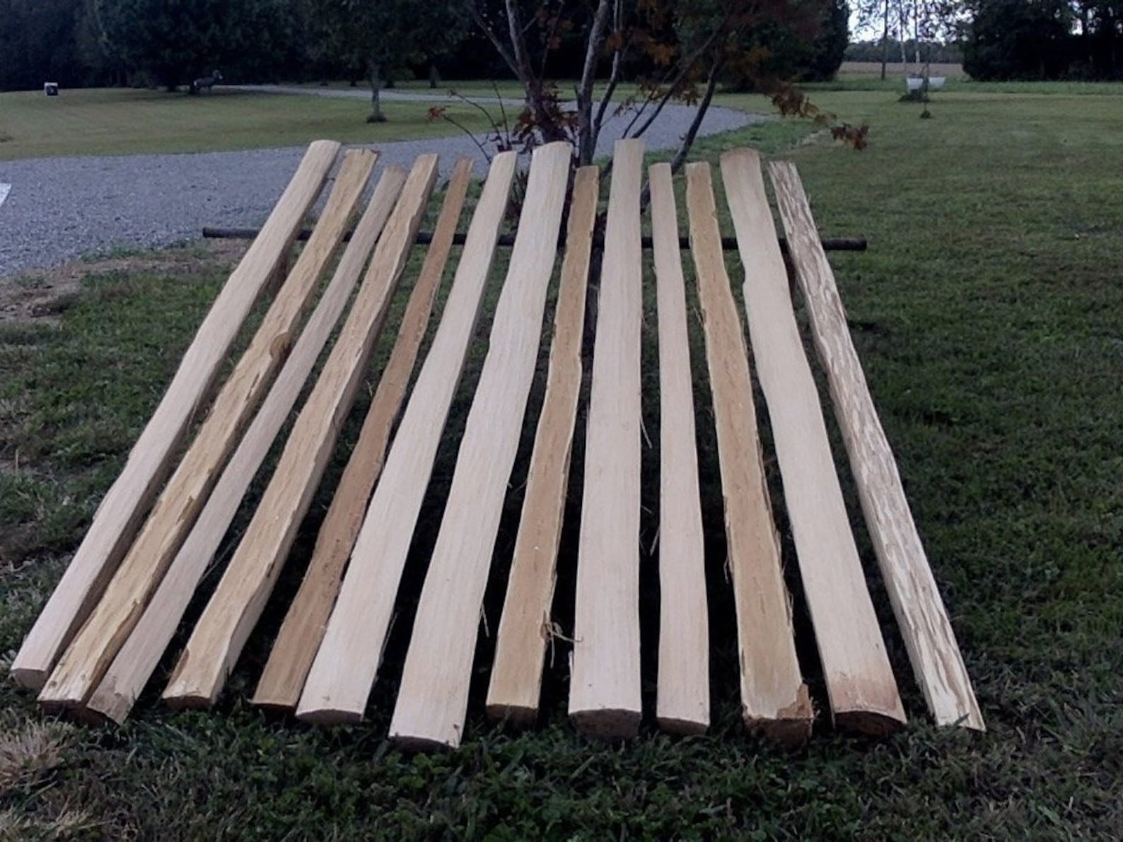 Bow Staves Premium Hickory Staves IN STOCK Etsy