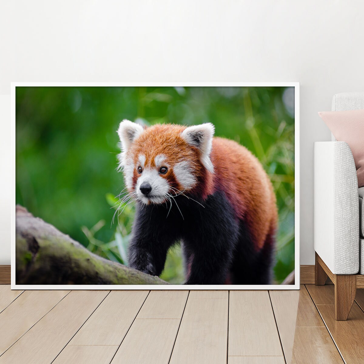 Red Panda Photography Printable Poster Cute Panda Wall Art Etsy