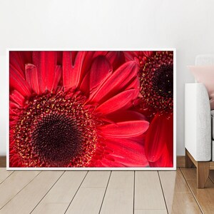 Gerbera, Gerbera Daisy, Gerbera Print, Wall Hangings, Wall Décor, Home Décor, Digital Prints, Prints, Digital Download, Flower Print, Flower