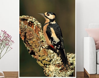 Woodpecker, Woodpecker Print, Woodpecker Photo, Woodpecker Art, Prints, Digital Prints, Home Décor, Wall Décor, Wall Hangings, Poster Print
