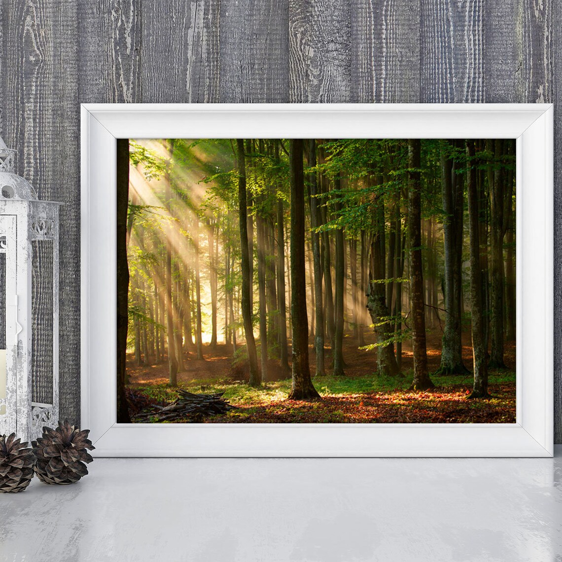 Forest Print Forest Wall Art Forest Poster Forest Forest - Etsy