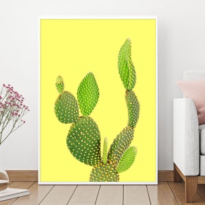 Kaktus, Sukkulenten, Kakteen, Sukkulenten Dekor, Kaktus Sukkulenten, Kaktus Poster, Kaktus Druck, Kaktus Dekor, Seltene Sukkulenten, Digitaldrucke, Kunst
