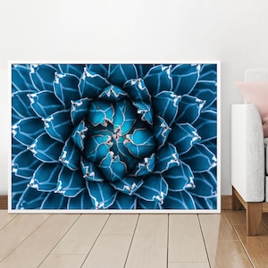 Agave Cactus, Cactus, Succulents, Cactus Print, Blue Cactus, Cacti, Agave, Cactus and Succulents, Wall Decor, Digital Print, Digital Poster