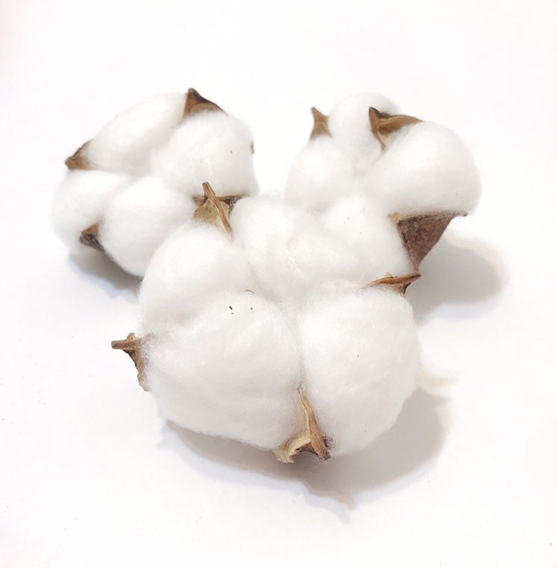 cotton branch dried cotton balls fall wreath cotton dried cotton stems cotton ball Christmas wreath Cotton balls for decor