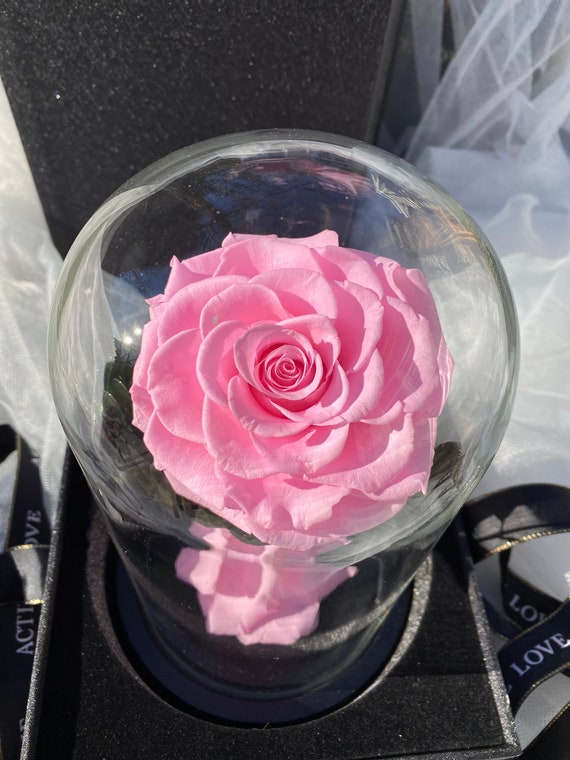 Fiori immortali di vera rosa stabilizzata in cupola di vetro, fiore eterno  di rosa reale fatto a mano, decorazione per la casa di ornamento per  feste,Rosa blu : : Casa e cucina