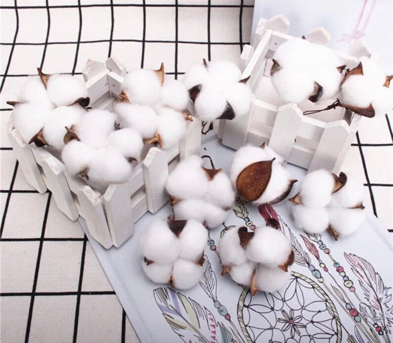 cotton branch dried cotton balls fall wreath cotton dried cotton stems cotton ball Christmas wreath Cotton balls for decor