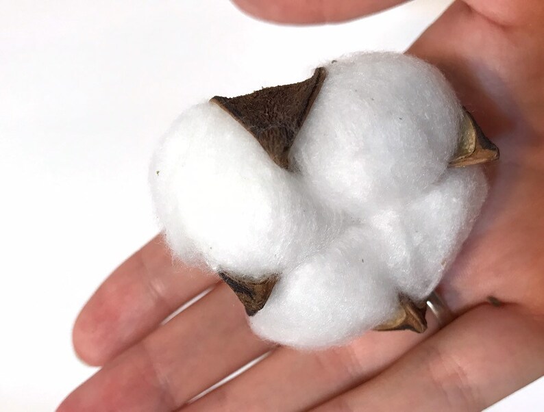 cotton branch dried cotton balls fall wreath cotton dried cotton stems cotton ball Christmas wreath Cotton balls for decor
