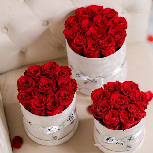 Preserved Roses That Last A Year in A Round Box Rose Box Etsy