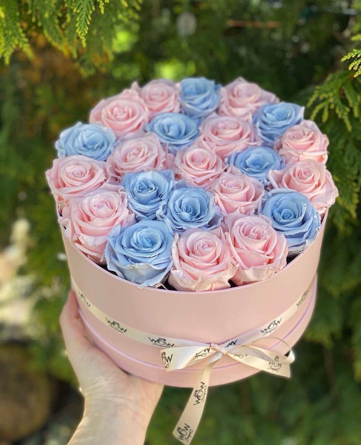 Rosas preservadas que duran un año en una caja redonda Caja de rosas del  día de San Valentín Flores para siempre Rosas infinitas Flor eterna -   México