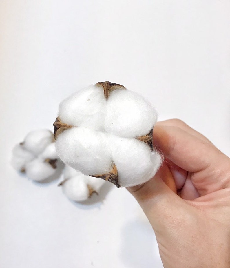 cotton branch dried cotton balls fall wreath cotton dried cotton stems cotton ball Christmas wreath Cotton balls for decor