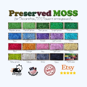 Live Moss Variety Pack - Diverse Selection of Live, Lush Terrarium Mosses -  Perfect for Terrarium - DIY Terrarium Moss Pack, Mixed Live Moss