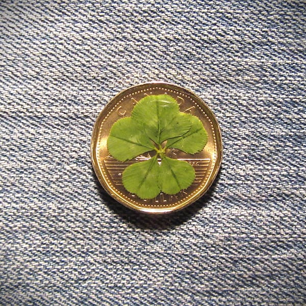 FIVE LEAF CLOVER, Xtra Good Luck, Betting Token, Canadian, Lucky Loonie, Pocket Charm, Decorated, Protection Coin, 2022, UNcirculated