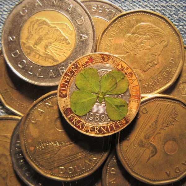 French 10 Francs Pocket Charm, "Liberte, Egalite, Fraternite" Decorated Coin,  w/ Xtra Lucky, 5 LEAF CLOVER, Circulated, 1989