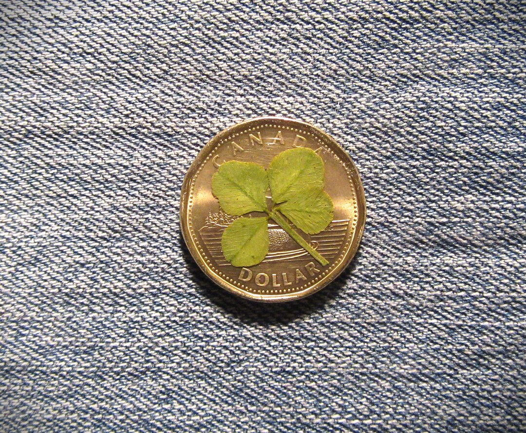 2021 LUCKY Four Leaf Clover POCKET CHARM Canadian One Etsy