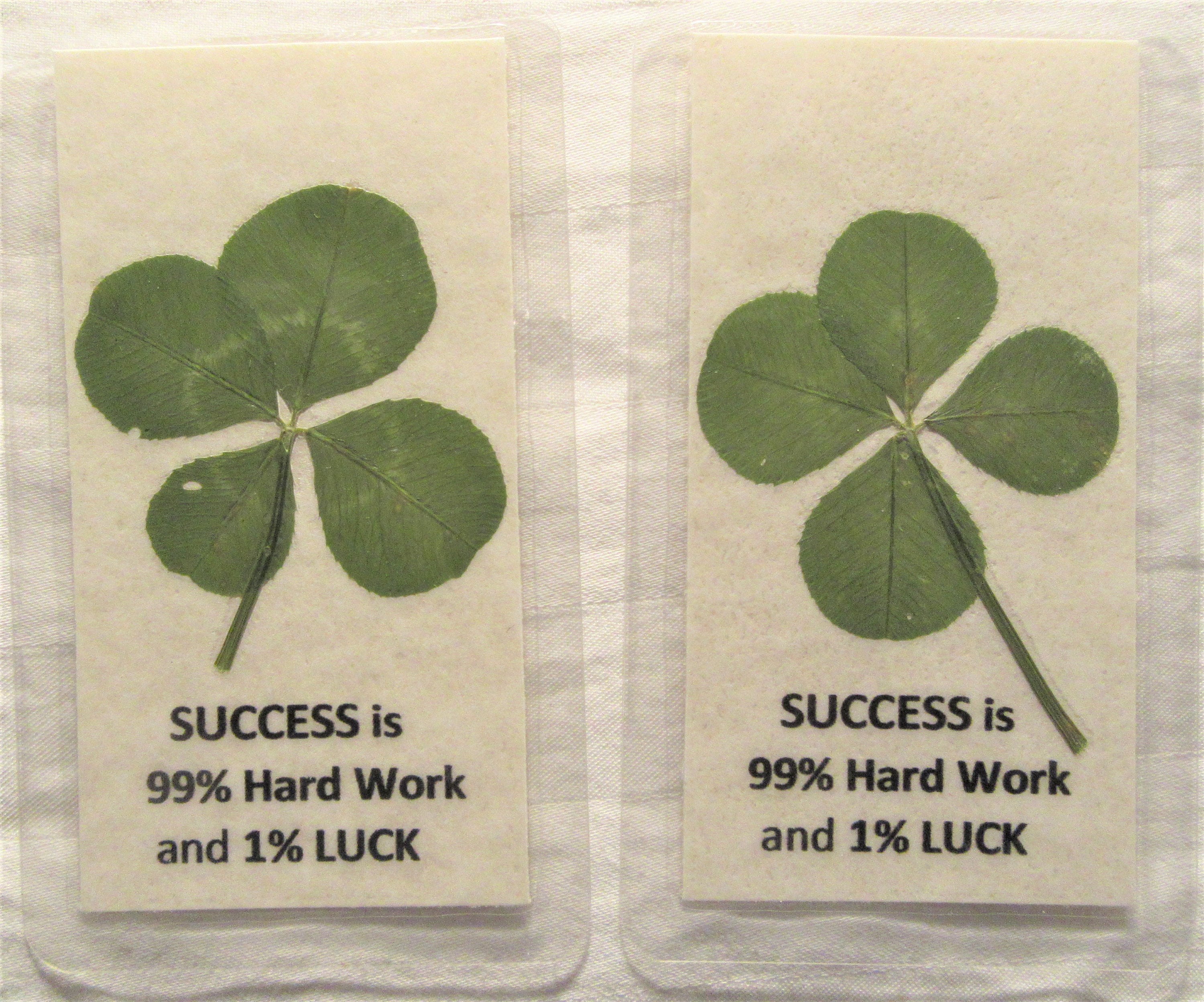 Lucky Four Leaf Clover Decorated MESSAGE CARDS, Good Luck, Novelty