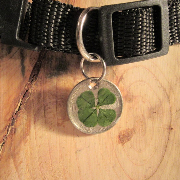 LUCKY, PET TAG, Four Leaf Clover, Decorated,  American, Five Cent, "Nickel", Dog Tag, Cat Tag, Protection Amulet, Good Luck, Pendant Charm,