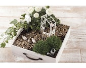 Mini garden for self-build, wedding, money gift, anniversary, birthday, 7-piece, garden small size, fairy garden for children, mini garden