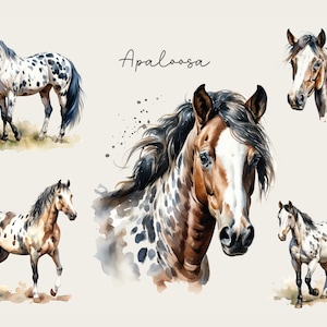 Könnte beinhalten: Aquarellillustrationen von Appaloosa-Pferden in verschiedenen Posen. Die Pferde haben gefleckte Fellmuster in Braun, Schwarz und Weiß, mit fließenden Mähnen und Schweifen. Das Wort "Appaloosa" ist kursiv geschrieben.