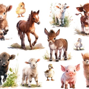 13 iron-on pictures of young farm animals, cute young animals from the farm, animal iron-on patches, watercolor animal boy, cow, donkey, sheep, horse, duck, goat image 2