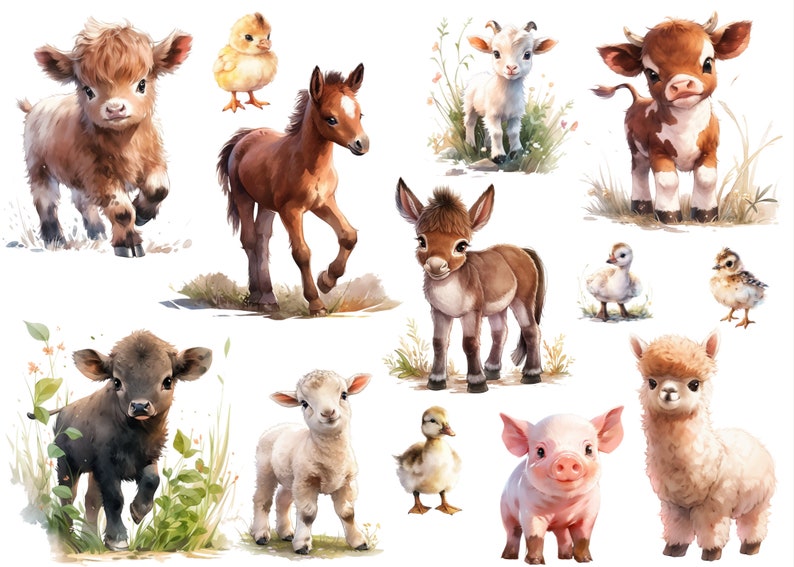 13 iron-on pictures of young farm animals, cute young animals from the farm, animal iron-on patches, watercolor animal boy, cow, donkey, sheep, horse, duck, goat image 2