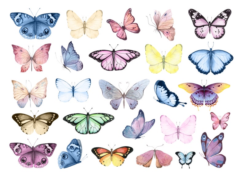 May include: Watercolor painting of various butterflies in different colors and patterns, including blue, pink, yellow, green, and purple.