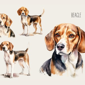 4 iron-on patches Beagle, Beagle for ironing on, dog breed Beagle portrait for ironing on, iron-on patch, dog, SKU 5.000.190