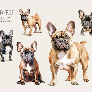 May include: Five watercolour illustrations of French Bulldogs in various poses. The dogs are depicted in black, brown and fawn colours. The text "FRANZÖSISCHE BULLDOGGE" is written in black at the top of the image.